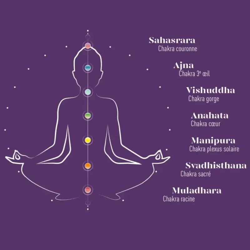 Infusion Ayurvedique bio Chakra racine - the epices & feves de cacao*terre d'Oc Sale